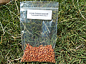 Sudangrass Seeds