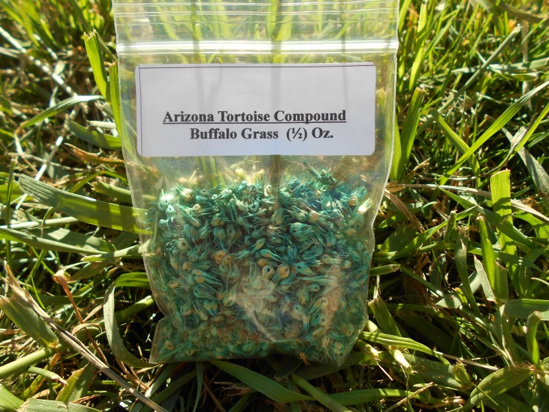 Buffalo Grass Seeds