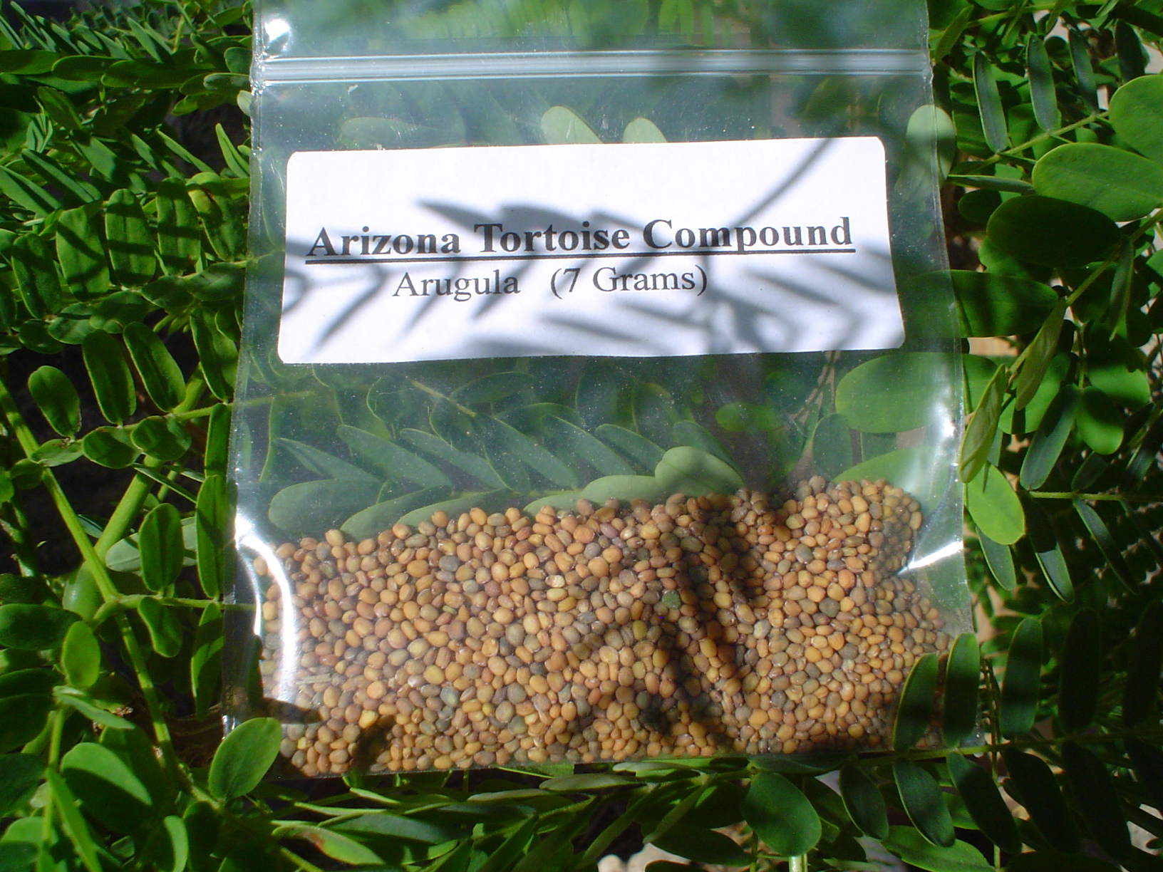 Arugula Seed Packet