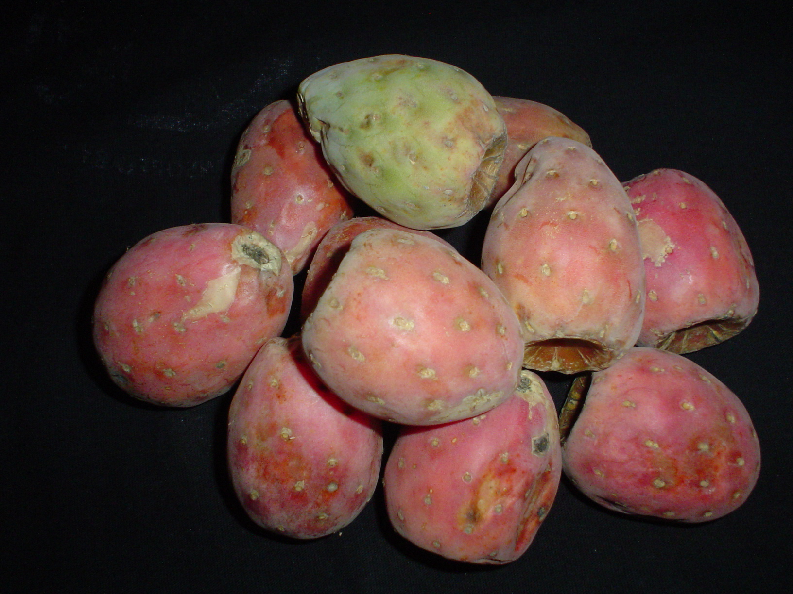 Prickly Pear Fruit- Seasonal